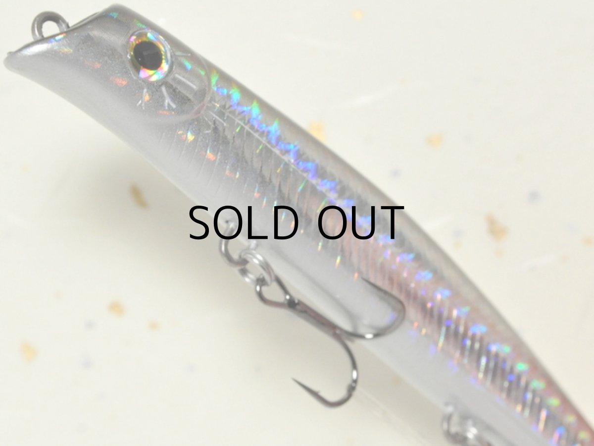 画像3: ガイア エリア10EVO：＃05 セグロ【ネコポス配送可】 (3)