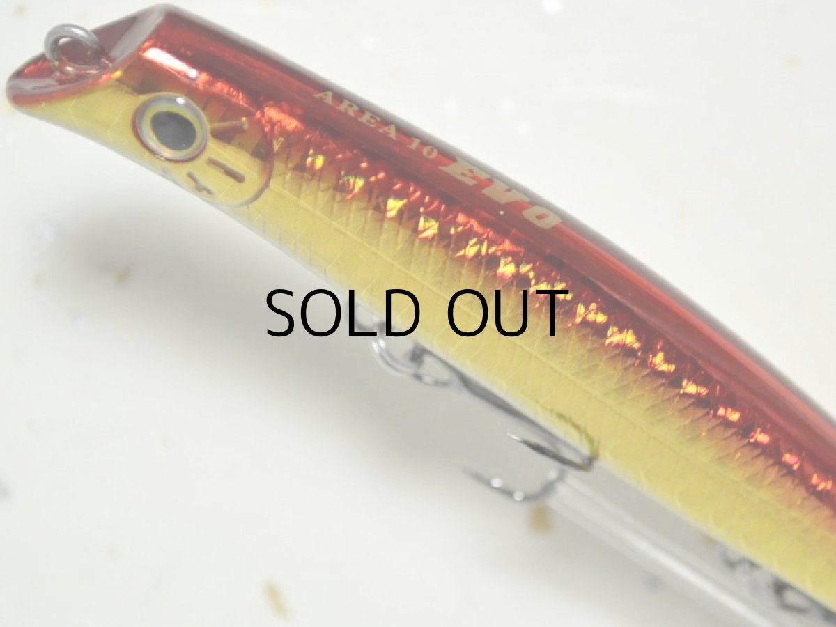 画像2: ガイア エリア10EVO:#09 アカキン【ネコポス配送可】 (2)