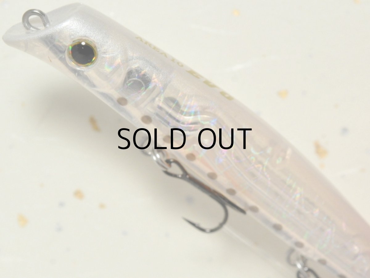 画像2: ガイア エリア10EVO：＃10 シラス【ネコポス配送可】 (2)