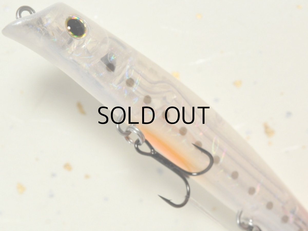 画像3: ガイア エリア10EVO：＃10 シラス【ネコポス配送可】 (3)