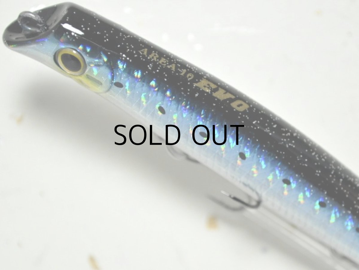 画像2: ガイア エリア10EVO：＃11 ホログラムイワシ【ネコポス配送可】 (2)