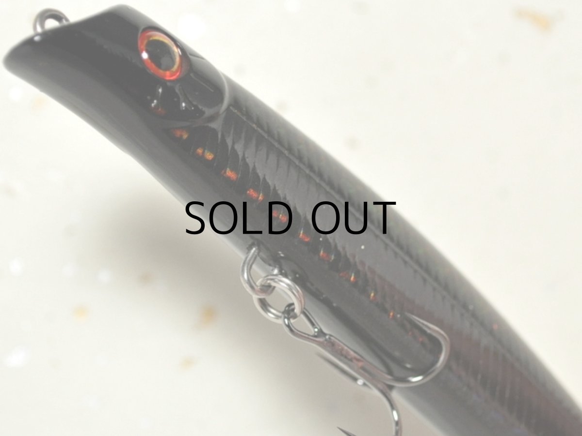 画像3: ガイア エリア10：＃48 カーボンブラック【ネコポス配送可】 (3)