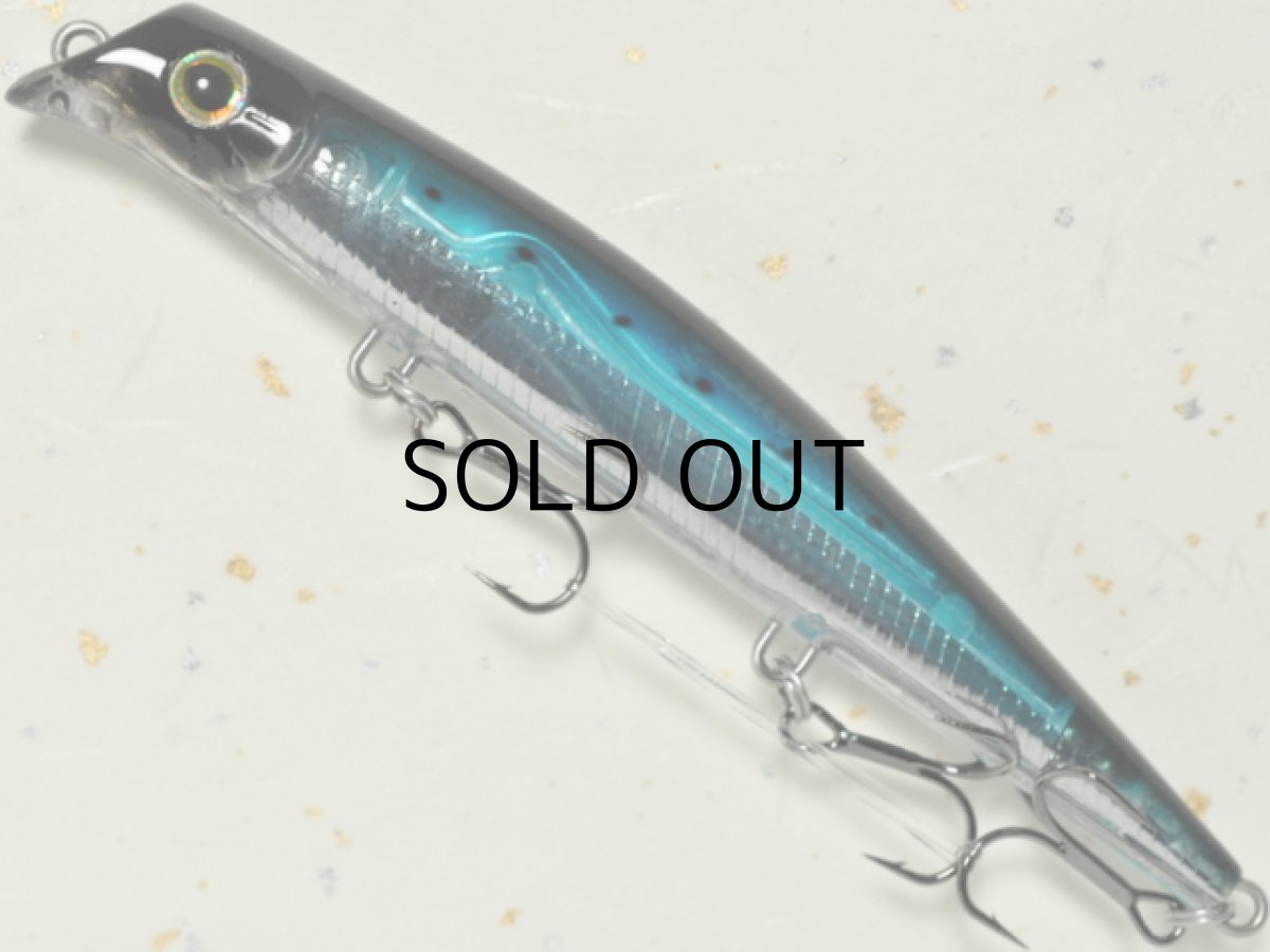 画像1: ガイア エリア10EVO:#17 HMクリアーイワシ【ネコポス配送可】 (1)