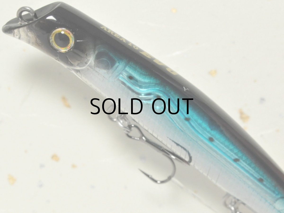 画像2: ガイア エリア10EVO:#17 HMクリアーイワシ【ネコポス配送可】 (2)