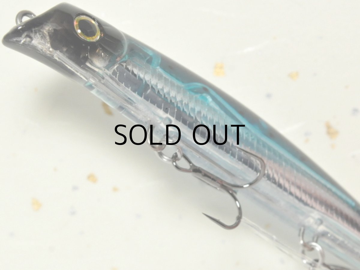 画像3: ガイア エリア10EVO:#17 HMクリアーイワシ【ネコポス配送可】 (3)