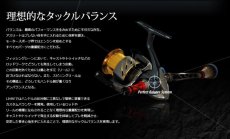 画像3: リブレ カスタムバランサー シマノ＆ダイワ共通 C1タイプ：CB-CA1-TIB チタンG×ブルー■ネコポス対象外■ (3)