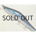 ブレイズアイ エヴォルーツ120F：＃004 マイワシ■ネコポス対象外■