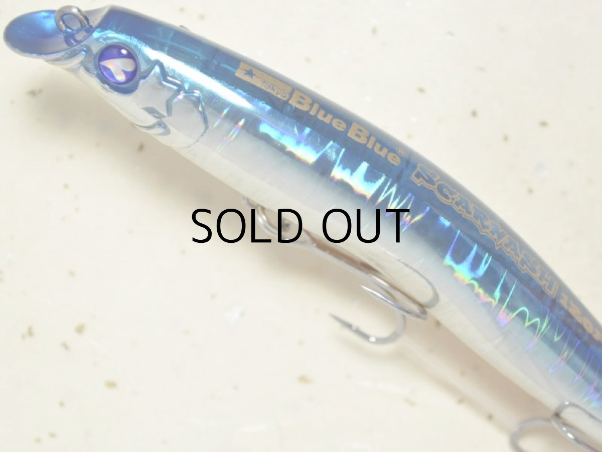 画像2: ブルーブルー スカーナッシュ120F:#04 SGO■ネコポス対象外■ (2)