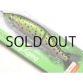 ベビーフェイス BB180-MSS：＃21 RAINBOW TROUT■ネコポス対象外■