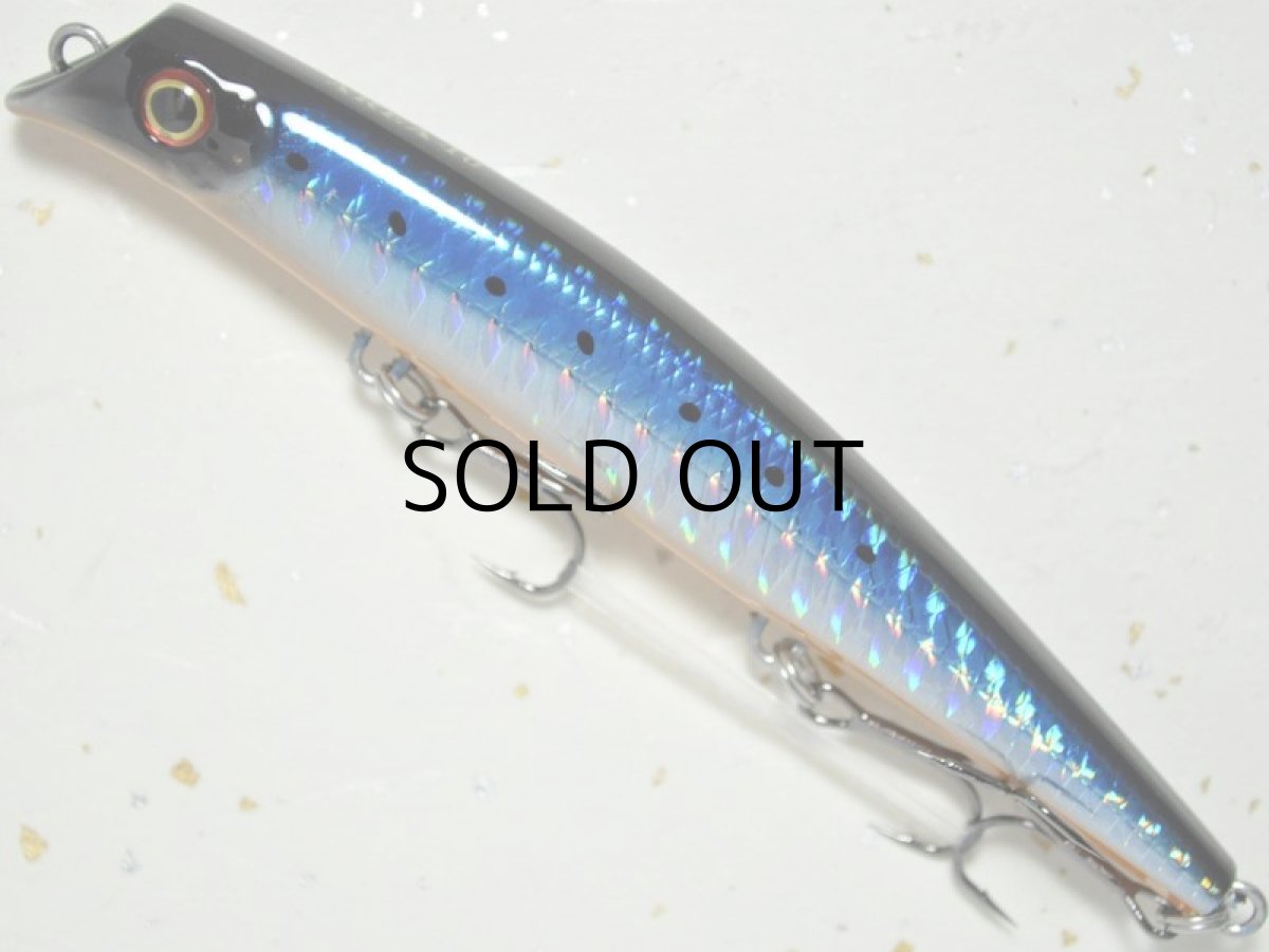 画像1: ガイア エリア10：＃01 ホロイワシ/オレンジベリー【ネコポス配送可】 (1)