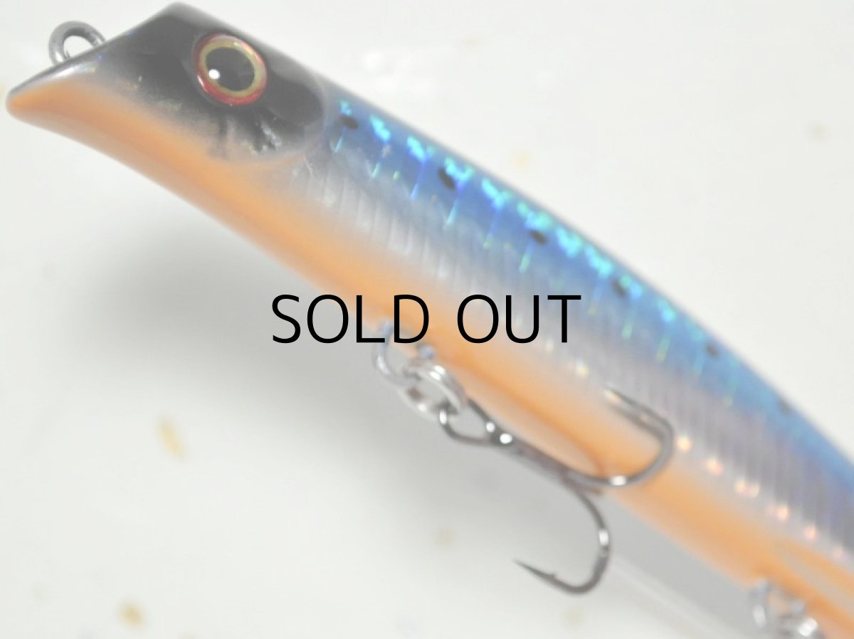 画像3: ガイア エリア10：＃01 ホロイワシ/オレンジベリー【ネコポス配送可】 (3)