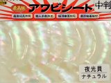 あわび本舗 最高級アワビシート中判：Aグレード夜光貝ナチュラル【ネコポス配送可】