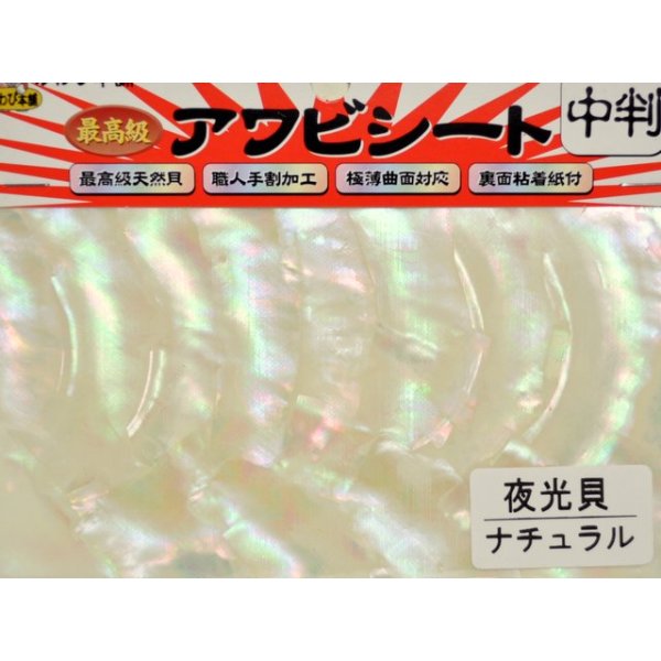 画像1: あわび本舗 最高級アワビシート中判：Aグレード夜光貝ナチュラル【ネコポス配送可】