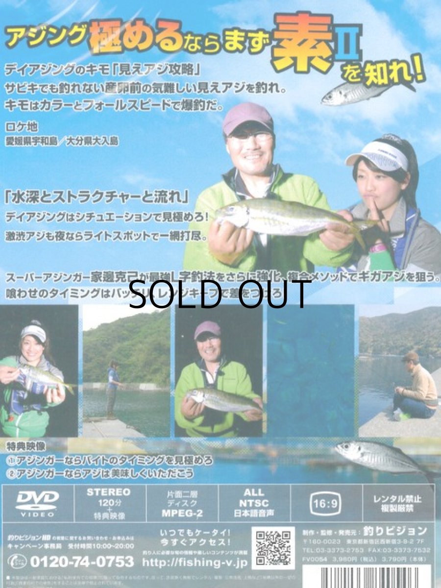 画像2: 【SALE】[DVD]釣りビジョン 家邊克巳の最強アジングの素II【ネコポス配送可】 (2)