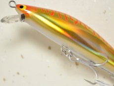 画像3: Go-Phish ゴーフィッシュ BKSP-115GP：＃04 オレキンSB■ネコポス対象外■ (3)