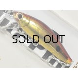 Go-Phish ゴーフィッシュ ドラス43GP：＃05 アカキンGP【ネコポス配送可】
