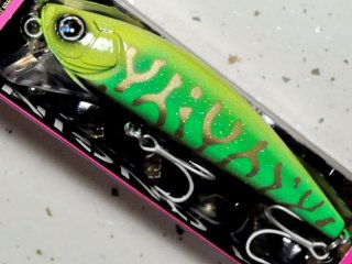 WakeyBoo ウェイキーブー170 ロンジンギンギラサザンカレイリア