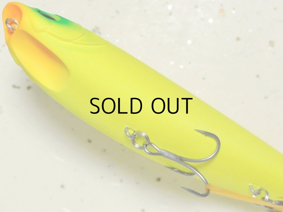 画像3: アピア アルゴ160:#07 どチャート■ネコポス対象外■ (3)