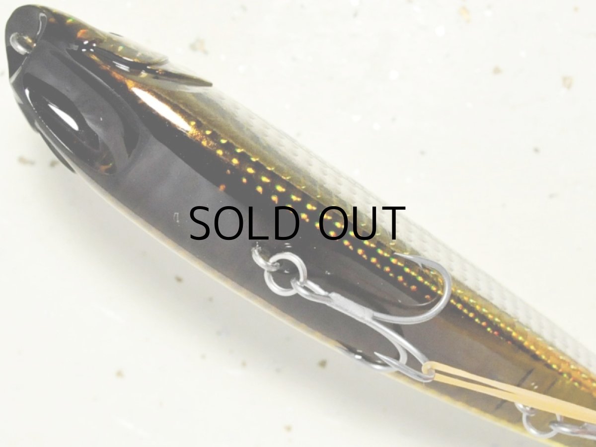 画像3: アピア アルゴ160：＃08 チャートバックステイン■ネコポス対象外■ (3)