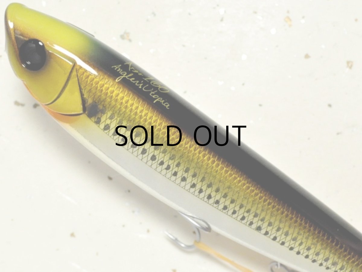 画像2: アピア アルゴ160：＃12 ゴールドコノシロ■ネコポス対象外■ (2)