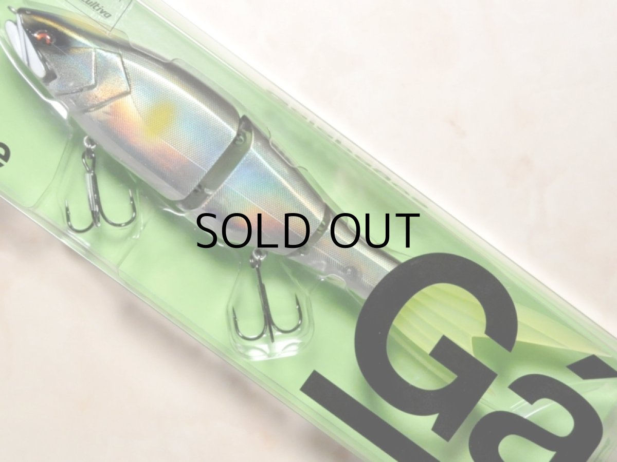 画像1: ガラパゴス グレイス 240F:#22 盛夏アユ(限定カラー)■ネコポス対象外■ (1)