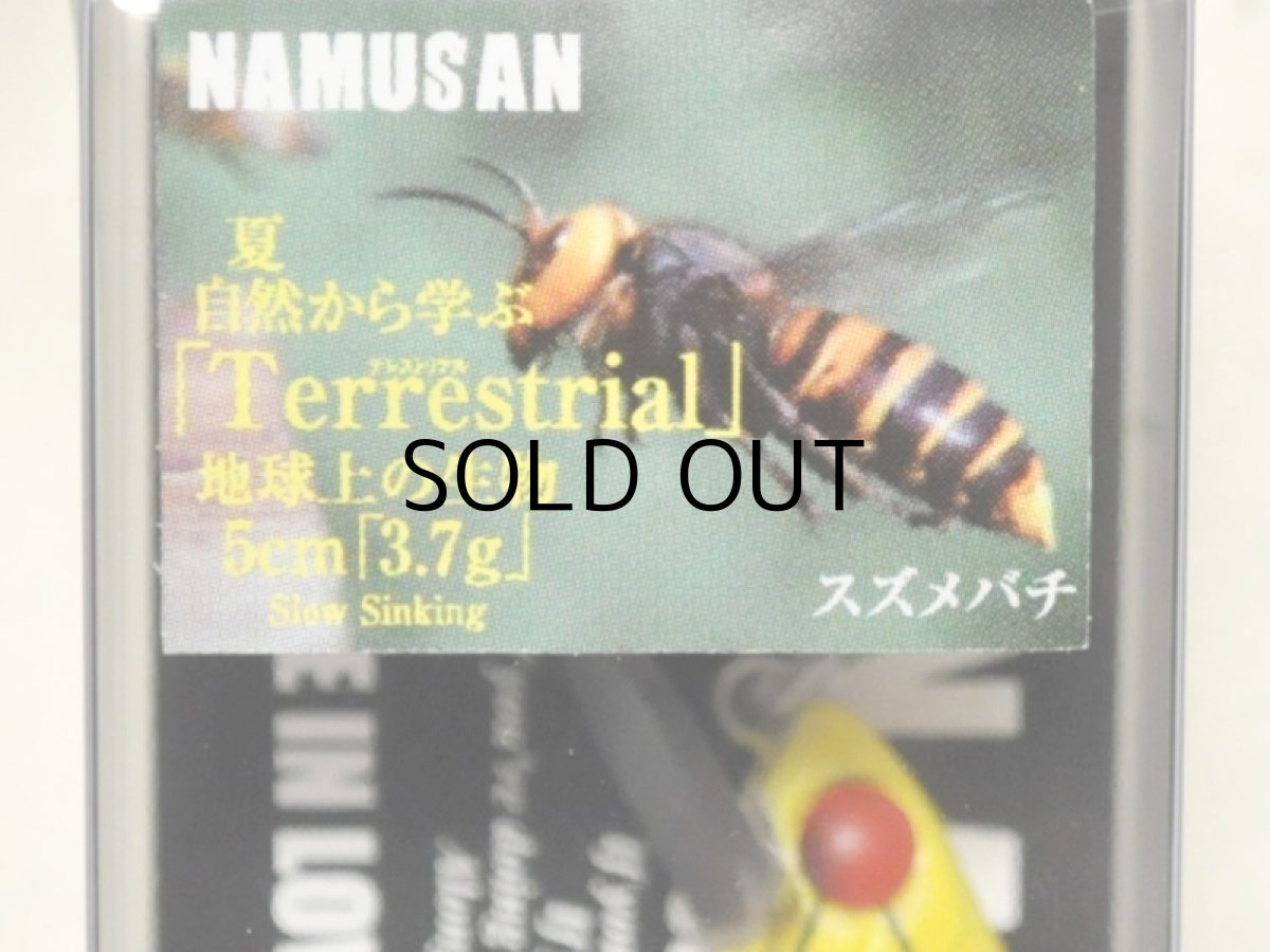 画像2: ソウルズ ナムサン5：T02 スズメバチ【ネコポス配送可】 (2)