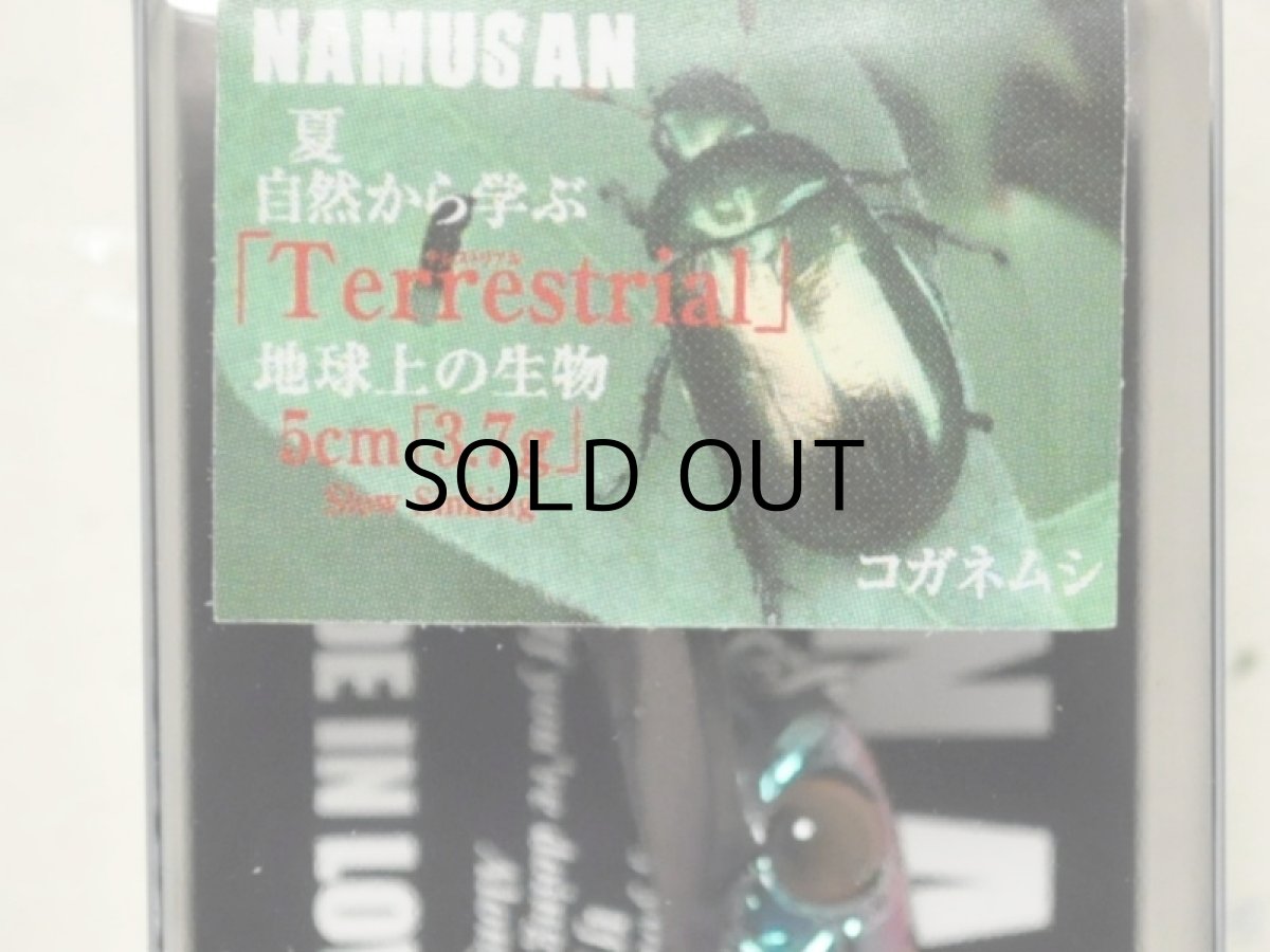 画像2: ソウルズ ナムサン5：T03 コガネムシ【ネコポス配送可】 (2)