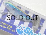 ブルーブルー シャルダス14：＃09 房州アジチャートヘッド【ネコポス配送可】