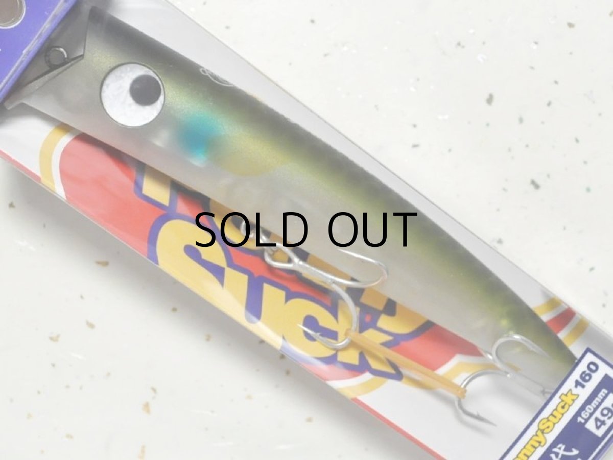 画像1: ハルシオンシステム ペニーサック160初代：限定マット透けイナ■ネコポス対象外■ (1)