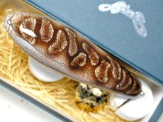画像2: ノリーズ フカベイト：620 テナガパイソン ■ネコポス対象外■ (2)