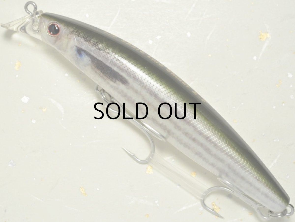 画像1: ダイワ ショアラインシャイナーZ 97F：リアルイナッ子（リアルプリント）【ネコポス配送可】 (1)