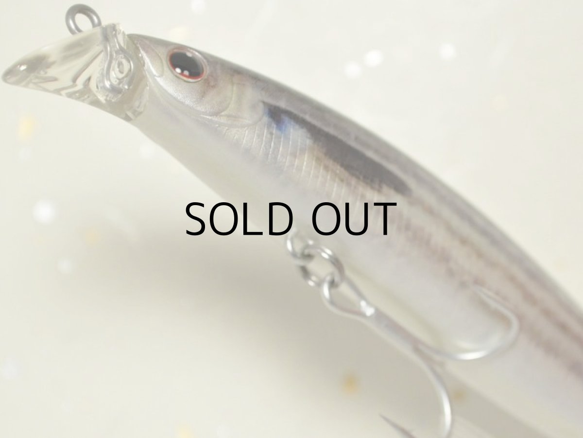 画像3: ダイワ ショアラインシャイナーZ 97F：リアルイナッ子（リアルプリント）【ネコポス配送可】 (3)