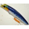 画像1: 【SALE】シマノ ゴリアテ ハイ95F X AR-C：03T メッキイワシ【ネコポス配送可】 (1)