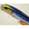 画像2: 【SALE】シマノ ゴリアテ ハイ95F X AR-C：03T メッキイワシ【ネコポス配送可】 (2)