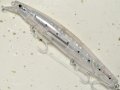 【SALE】シマノ サイレントアサシン129S フラッシュブースト XM-212T：009 Fトウリンイワシ【ネコポス配送可】
