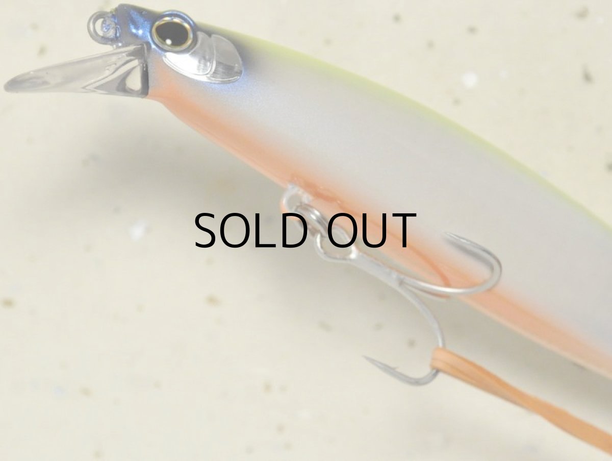 画像4: 【SALE】シマノ サイレントアサシン120F AR-C XM-112R：10T レンズパールチャート【ネコポス配送可】 (4)