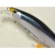 画像2: 【SALE】シマノ サイレントアサシン99F AR-C：012 狂鱗 キョウリンカタクチ【ネコポス配送可】 (2)