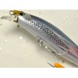 画像3: 【SALE】シマノ サイレントアサシン99F AR-C：012 狂鱗 キョウリンカタクチ【ネコポス配送可】 (3)