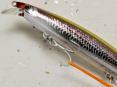 画像3: 【SALE】シマノ サイレントアサシン129F AR-C XM-129N：015 キョウリンキス【ネコポス配送可】 (3)