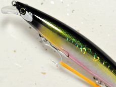 画像2: 【SALE】シマノ サイレントアサシン129F AR-C XM-129N：017 キョウリンSB【ネコポス配送可】 (2)