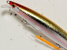 画像2: 【SALE】シマノ サイレントアサシン129S AR-C XM-229N：015 キョウリンキス【ネコポス配送可】 (2)