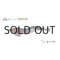 林釣漁具製作所 飛猿 3.5号：求仙（キュウセン）グリーン／マーブルテープ【ネコポス配送可】