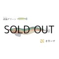林釣漁具製作所 飛猿 3.5号：求仙（キュウセン）グリーン／金テープ【ネコポス配送可】
