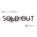 林釣漁具製作所 飛猿 3.5号：求仙（キュウセン）グリーン／赤テープ【ネコポス配送可】