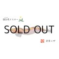 林釣漁具製作所 飛猿 3.5号：蒲公英（たんぽぽ）イエロー／赤テープ【ネコポス配送可】