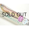 バレーヒル スクイッドシーカー 3.5号 35g ラトリン：＃36RT BR/DOT/金ホロ【ネコポス配送可】