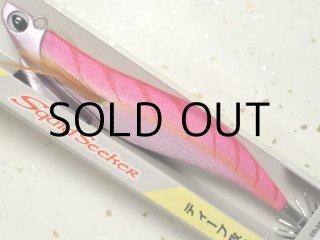 バレーヒル スクイッドシーカー 4.0号RG 40g：＃12N パープル/パープル