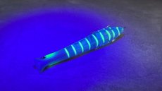 画像5: GOTO9 ゴートゥーナイン スウォーム130：＃03 はらぺこあおばち【ネコポス配送可】 (5)