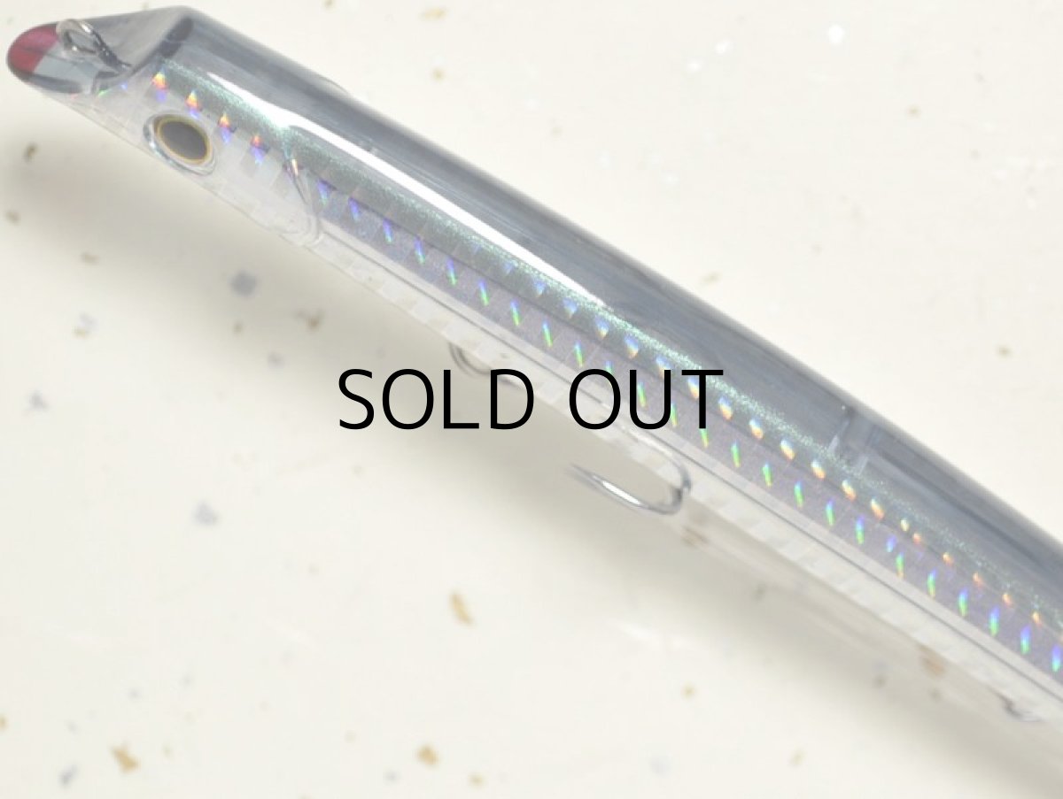 画像2: ソルテックス パラガス160：＃02 HGサヨリ【ネコポス配送可】 (2)