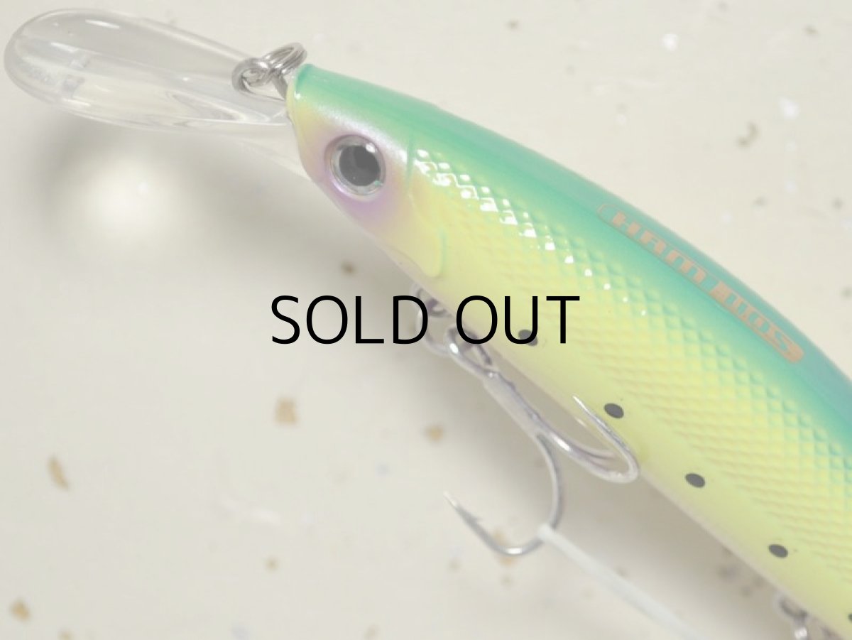 画像2: ベーシックギア バビューン110S:04 ライムチャートイワシPB■ネコポス対象外■ (2)